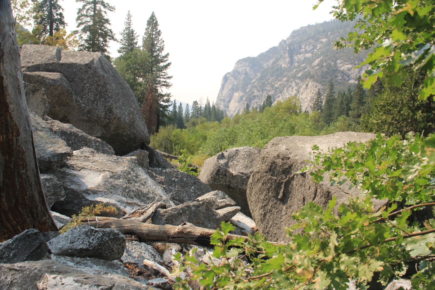 Zumwalt Meadows Trail 